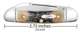 Case 10758 Baby Butterbean Knife Genuine Stag Fluted w/Tin 52132 SS