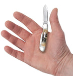 Case 10758 Baby Butterbean Knife Genuine Stag Fluted w/Tin 52132 SS
