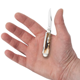 Case 10862 Tiny Trapper Knife Stag Stainless USA w/ Tin 2026