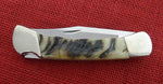Buck 0110FG 110 Folding Hunter Knife Ram Horn Finger Grooved Nickel Silver 2012 Lot#110-232
