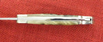 Buck 0110FG 110 Folding Hunter Knife Ram Horn Finger Grooved Nickel Silver 2012 Lot#110-232