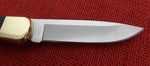 Buck 0110 110 Folding Hunter Knife BOS 5160 Carbon Drop Point G10 Handle USA Lot#110-236