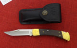 Buck 0110EBS1 110 Magnolia Folding Hunter 2014 Knife