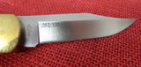 Buck 0110EBS1 110 Magnolia Folding Hunter 2014 Knife