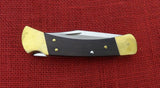 Buck 0110EBS1 110 Magnolia Folding Hunter 2014 Knife