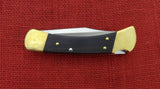Buck 0110EBS1 110 Magnolia Folding Hunter 2014 Knife