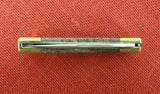 Buck 0110 110 Folding Hunter Knife Custom Roxbury Stone 110-258
