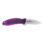 Kershaw 1620PUR 1620 Scallion SpeedSafe Assisted Opening Flipper Knife Purple Aluminum 420HC Ken Onion EDC USA