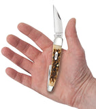 Case 30094 Seahorse Whittler Knife Carbon Steel Amber Jig Bone 6355WH CS