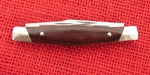 Buck 0303 303 Cadet RARE 2001 Rosewood ? Handle Knife NO Shield NOT CATALOGED Lot#303-3