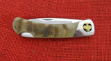 Buck 0500RHSAG 500 Duke Ram Horn Knife Spade Card Cutout Bolster 500-38