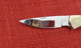 Buck 0532-BP8 532 Bucklock Knife Mastodon Ivory RARE 532-90