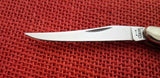 Case 05431 Tiny Toothpick Knife Silver Script Autumn Bone 2002 USA 610096 SS