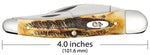 Case 65347 Seahorse Whittler 6.5 BoneStag Knife Stainless 6.5355WH SS