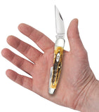 Case 65347 Seahorse Whittler 6.5 BoneStag Knife Stainless 6.5355WH SS