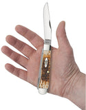 Case 00163 Trapper Knife Amber Bone 6254 SS