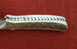 Buck 0970-SP1 970 WBC Stag Dagger Polished 2004 Limited RARE BU-511