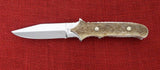 Buck 0970-SP1 970 WBC Stag Dagger Polished 2004 Limited RARE BU-511