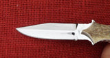 Buck 0970-SP1 970 WBC Stag Dagger Polished 2004 Limited RARE BU-511