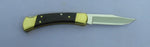 Buck 0110BRSWD 110 The Weld Folding Hunter 2014 Limited Edition Knife Al Buck Gold Etch USA